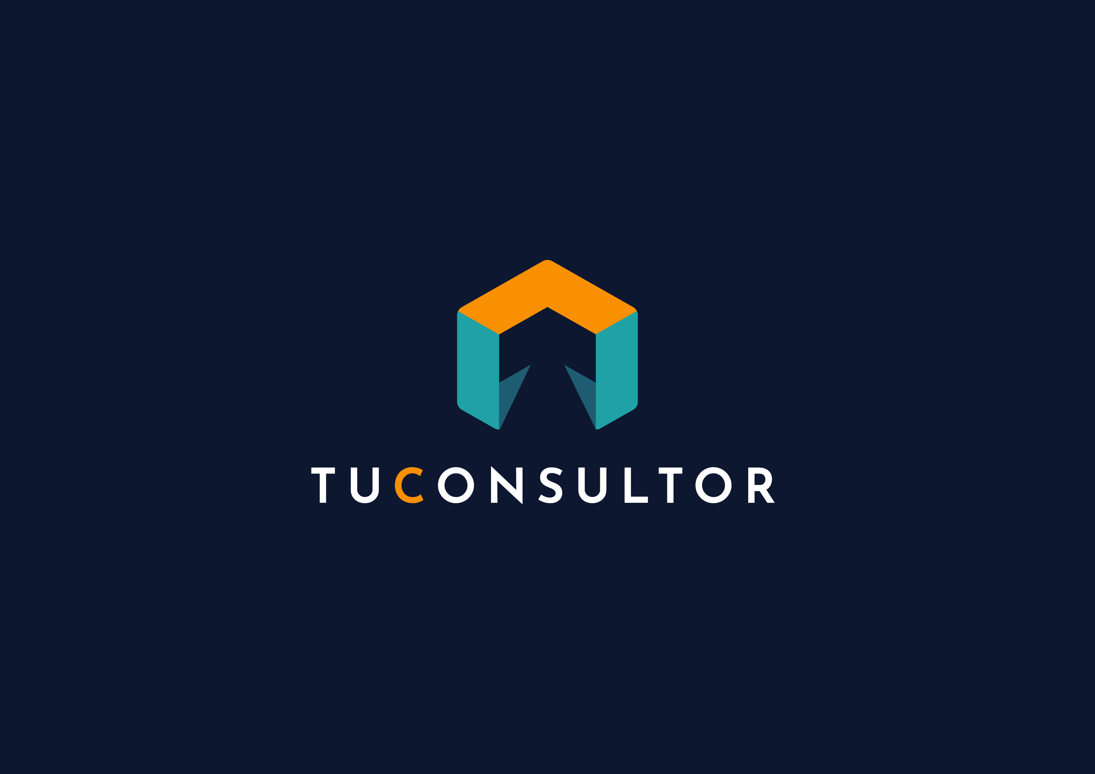 VERSIONES LOGO TU CONSULTOR-01